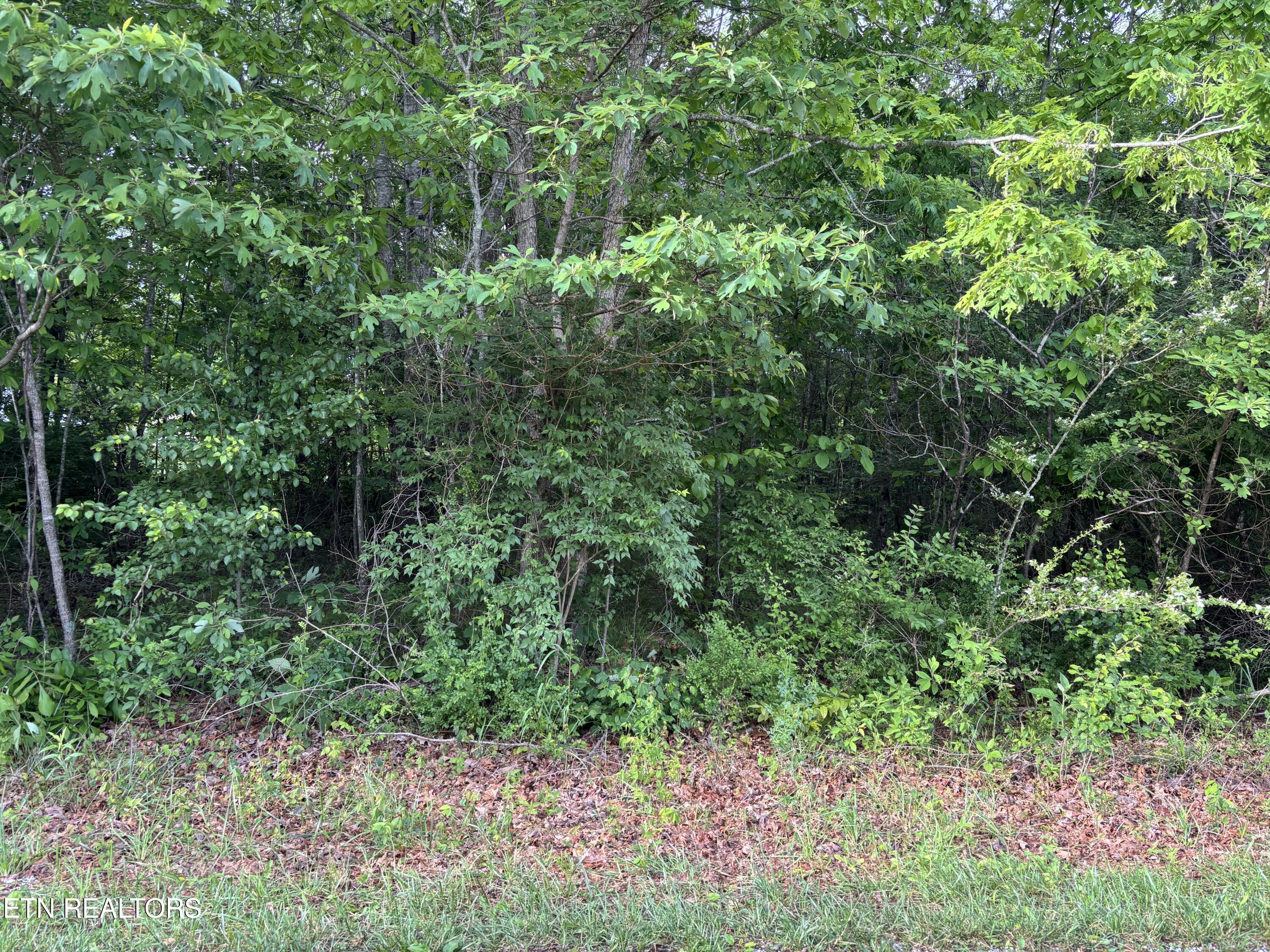 20 Otomi Circle Crossville TN 38572