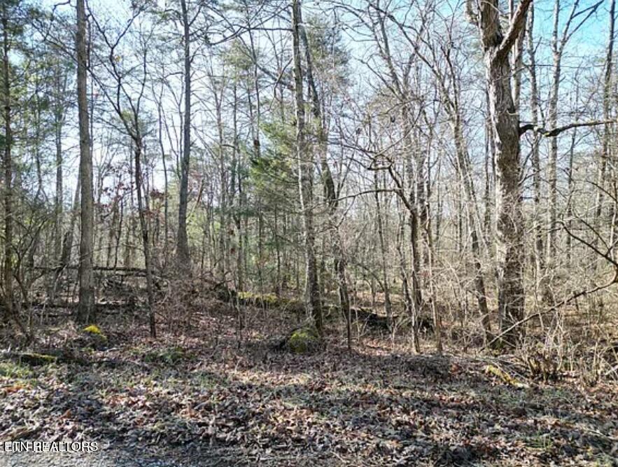 6028 Tomahawk Drive Crossville TN 38572
