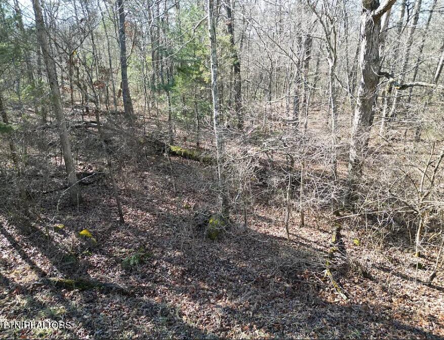 6028 Tomahawk Drive Crossville TN 38572