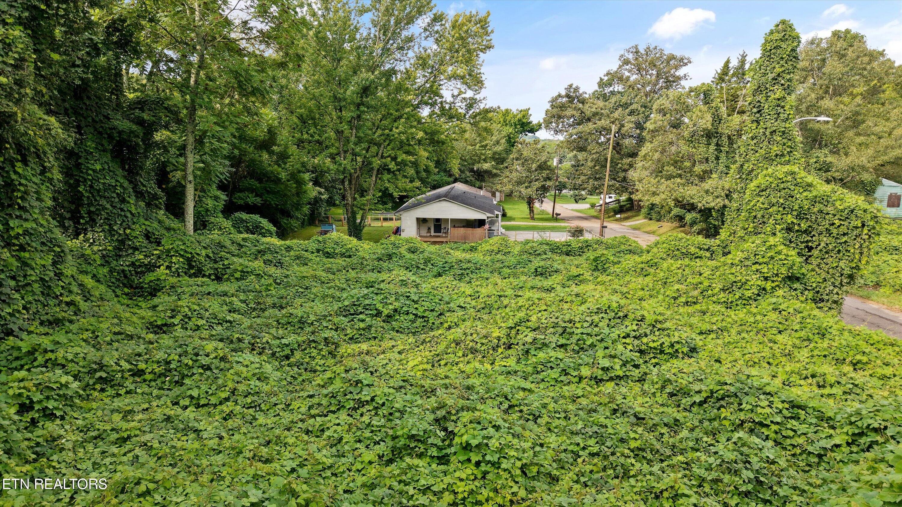 2904 Sunset Avenue Knoxville TN 37914