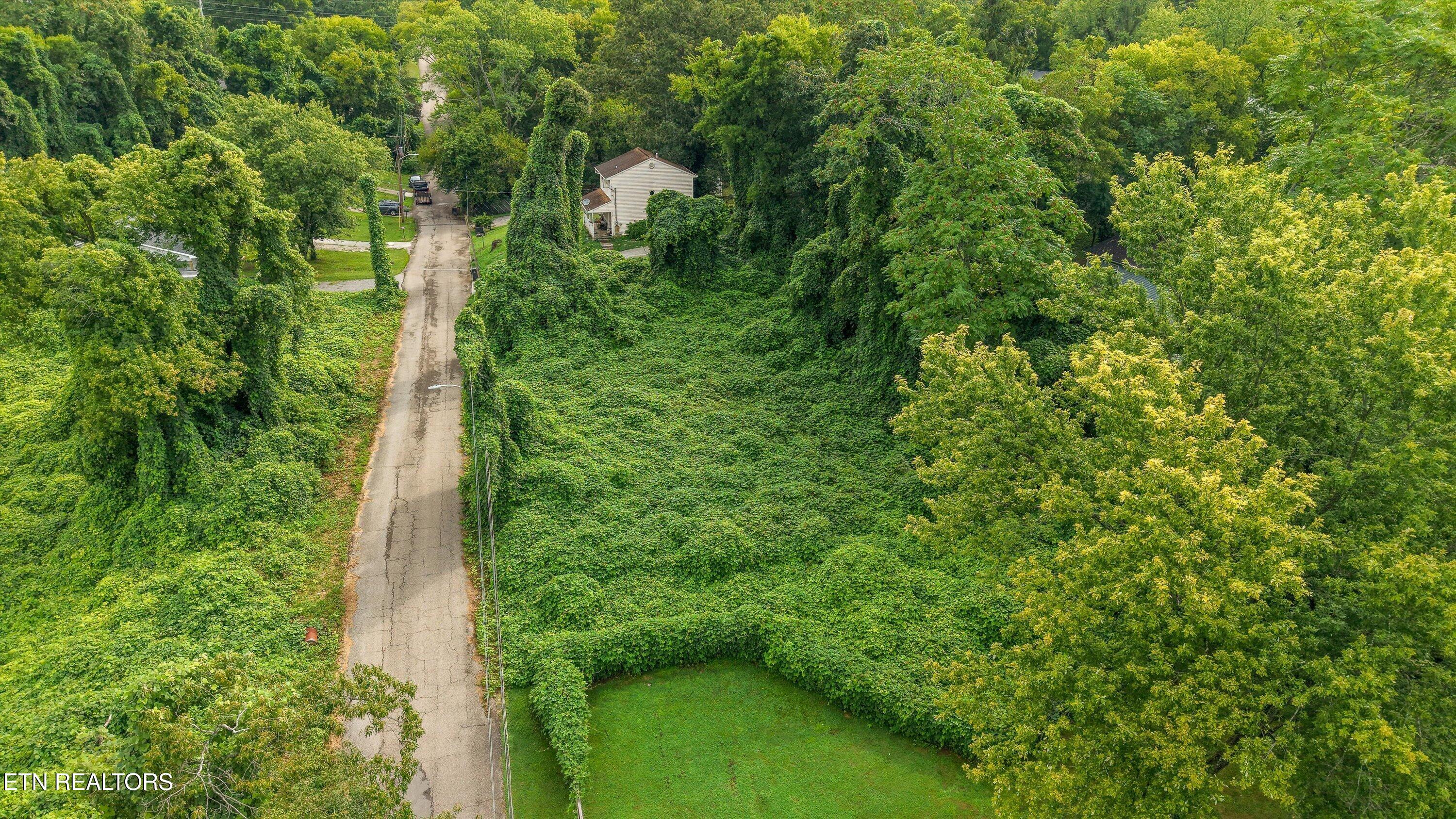 2904 Sunset Avenue Knoxville TN 37914