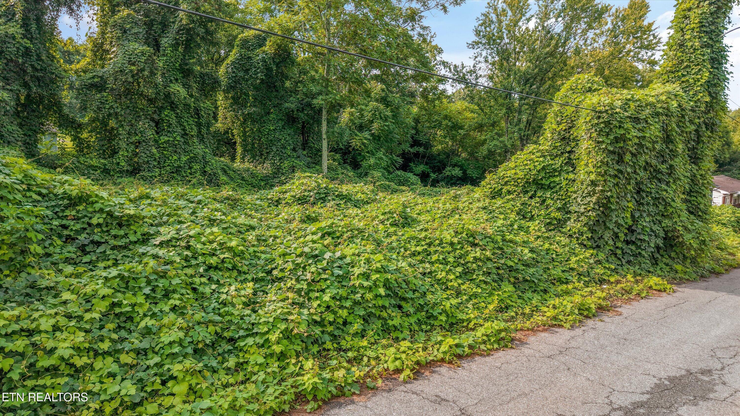 2904 Sunset Avenue Knoxville TN 37914