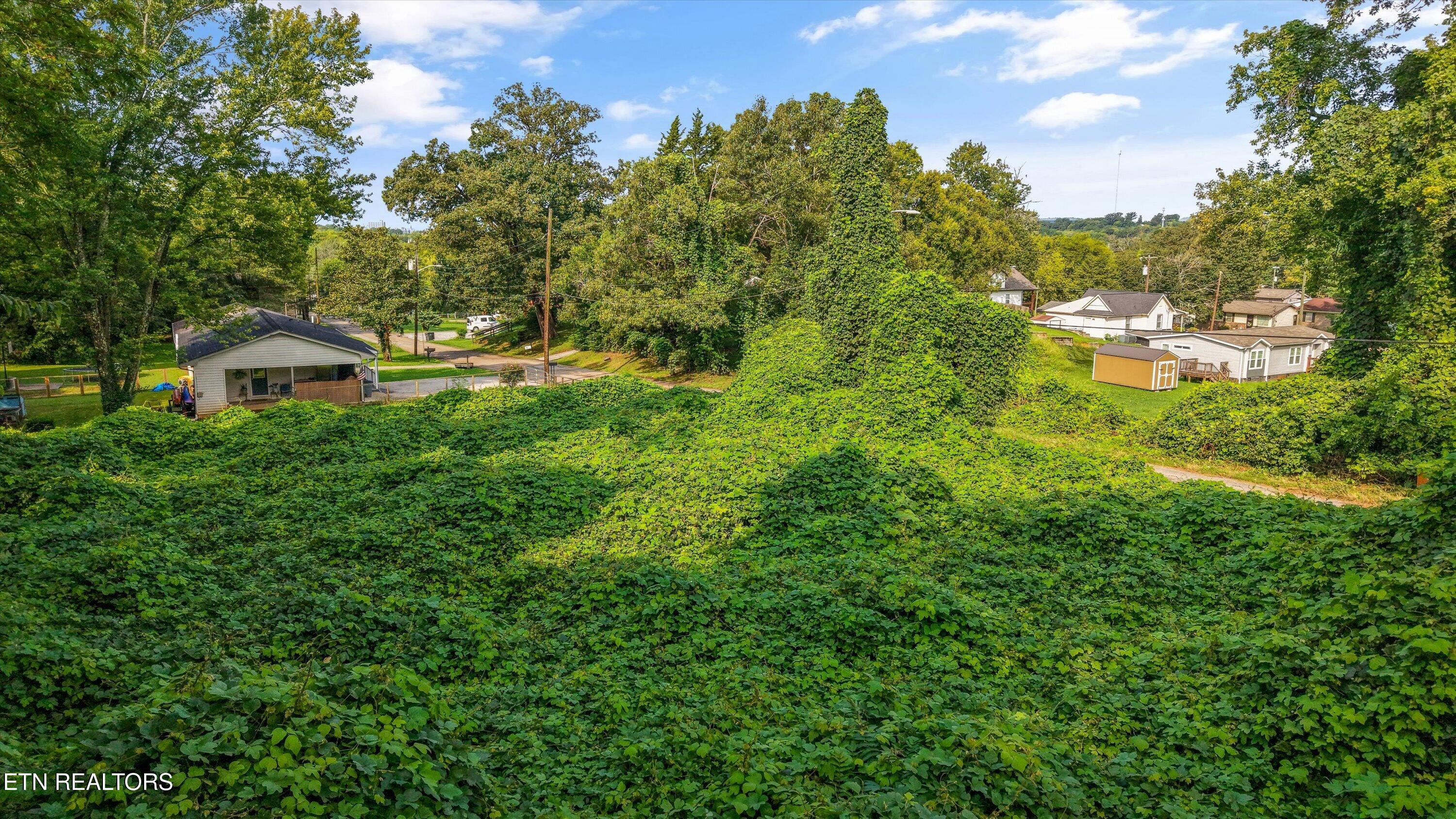 2904 Sunset Avenue Knoxville TN 37914