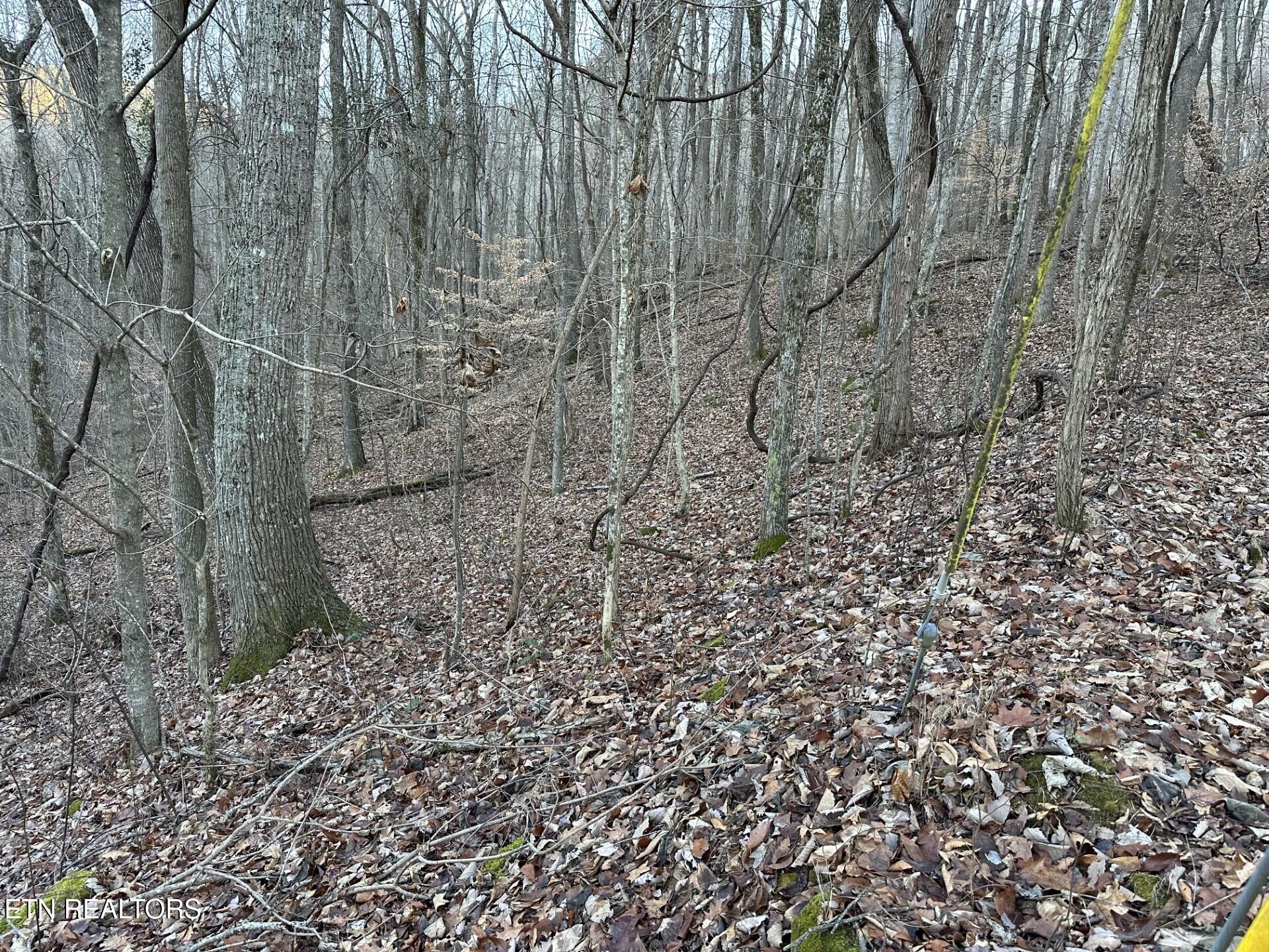83 Stone Ridge Road Pikeville TN 37367