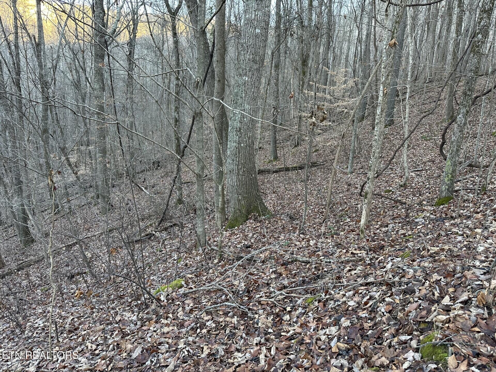 83 Stone Ridge Road Pikeville TN 37367