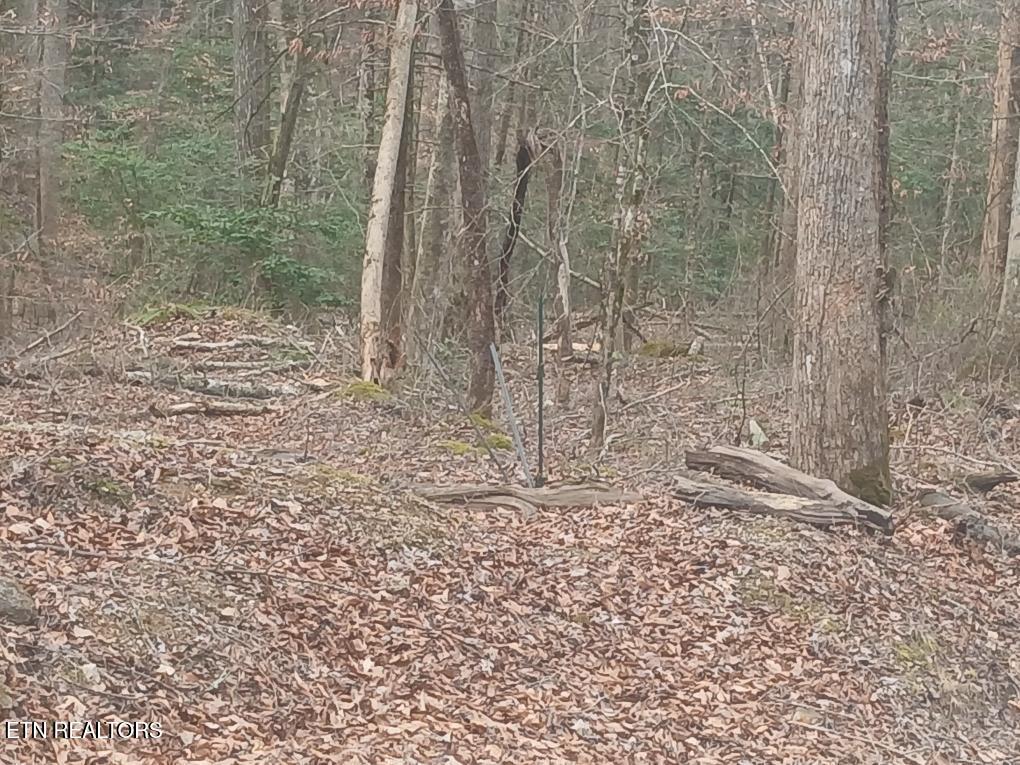 Waters End Road Walland TN 37886