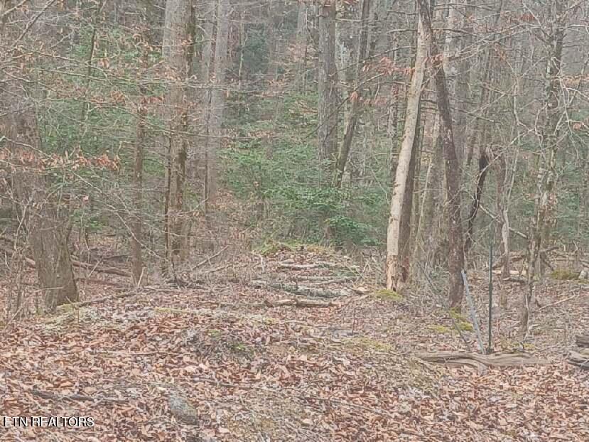 Waters End Road Walland TN 37886