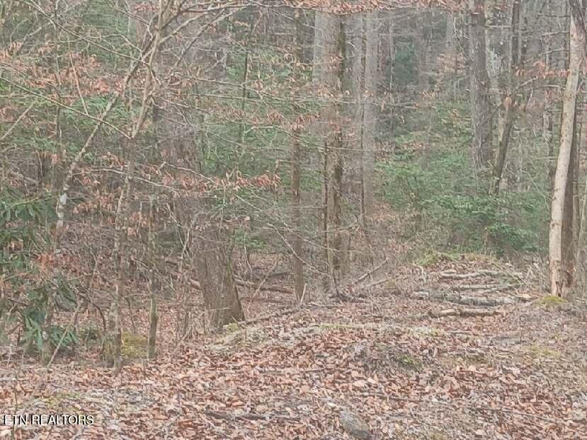 Waters End Road Walland TN 37886
