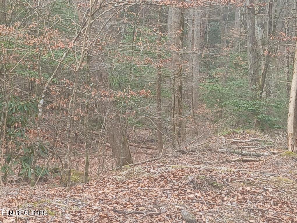 Waters End Road Walland TN 37886