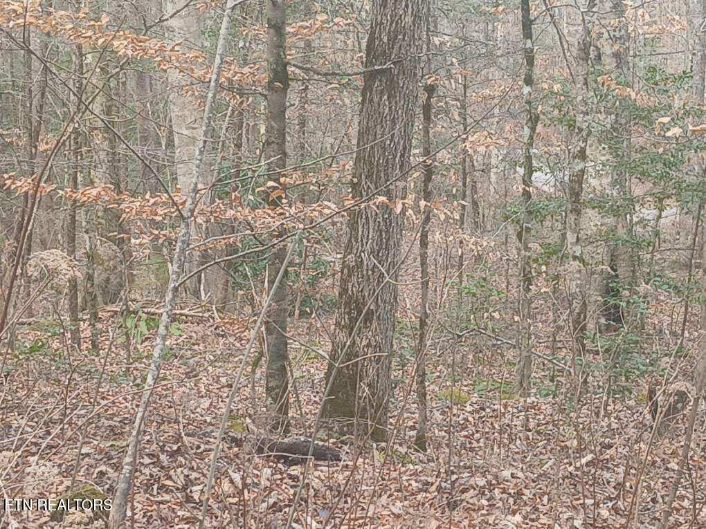 Waters End Road Walland TN 37886