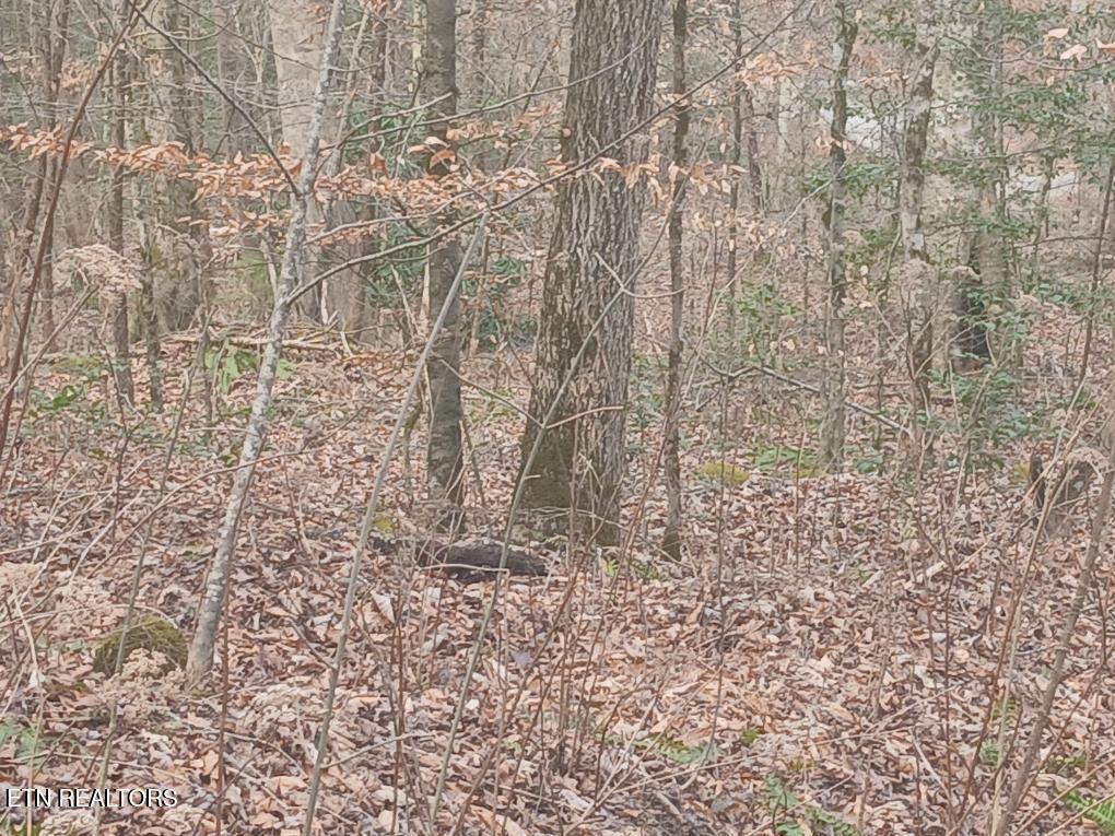 Waters End Road Walland TN 37886