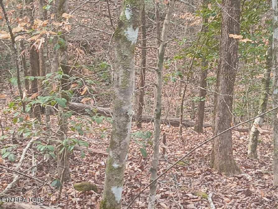 Waters End Road Walland TN 37886