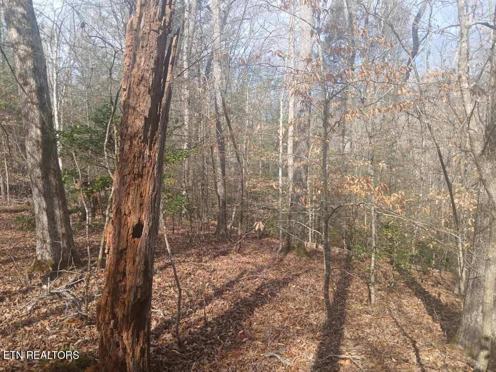 Waters End Road Walland TN 37886