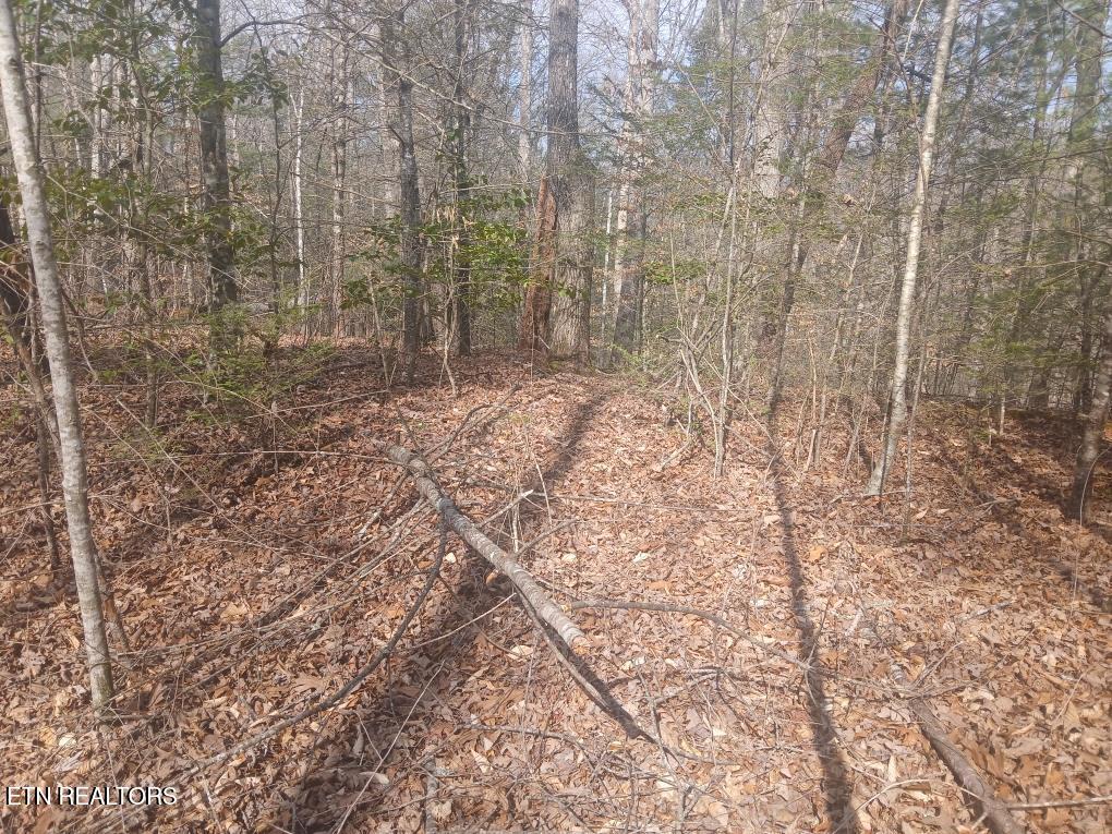 Waters End Road Walland TN 37886