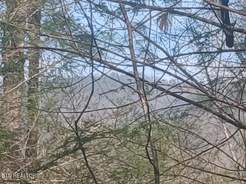 Waters End Road Walland TN 37886