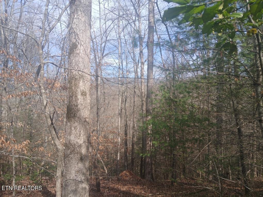 Waters End Road Walland TN 37886