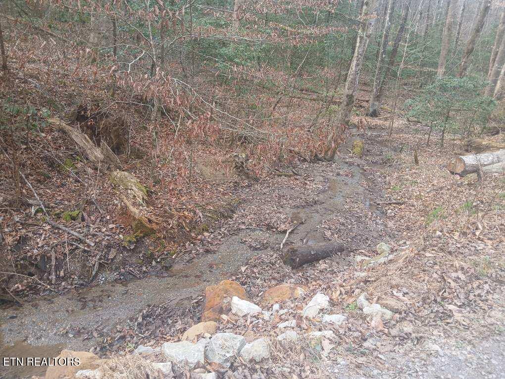 Waters End Road Walland TN 37886
