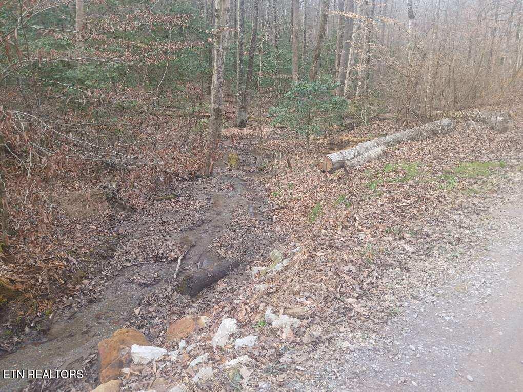Waters End Road Walland TN 37886