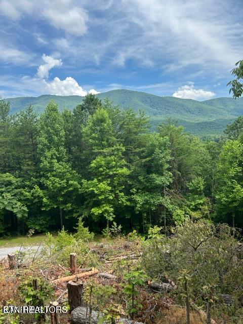 000 Smithfiled Road Tellico Plains TN 37385
