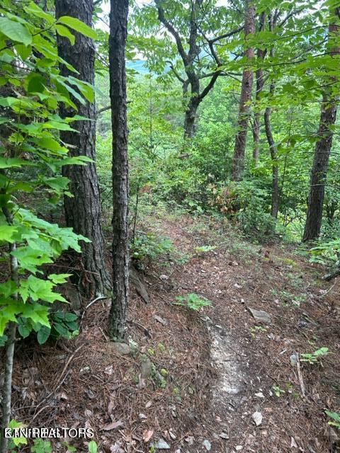000 Smithfiled Road Tellico Plains TN 37385