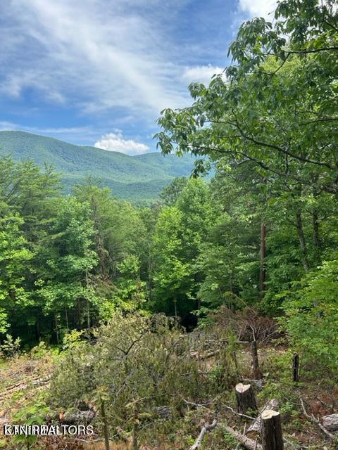 000 Smithfiled Road Tellico Plains TN 37385