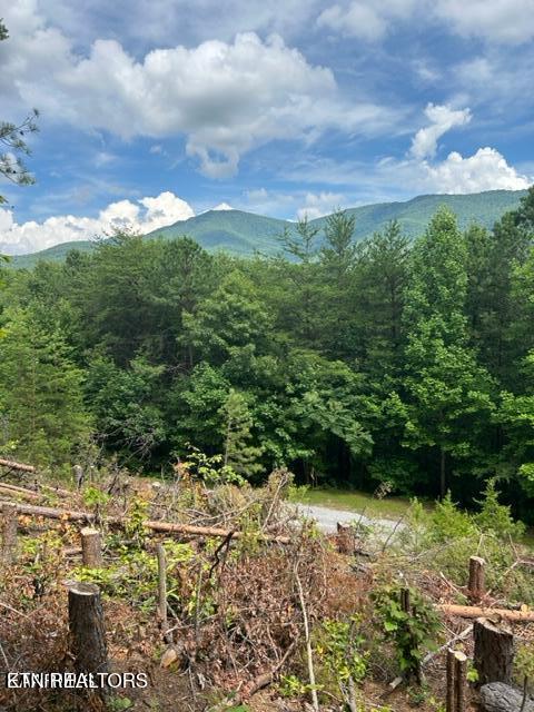 000 Smithfiled Road Tellico Plains TN 37385