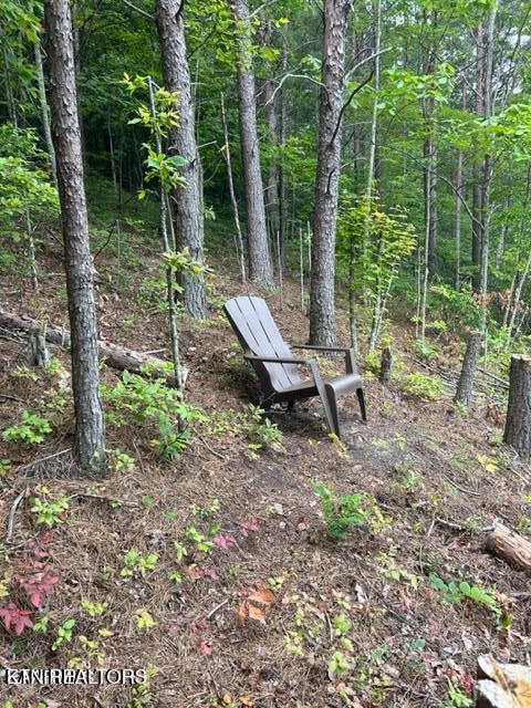 000 Smithfiled Road Tellico Plains TN 37385