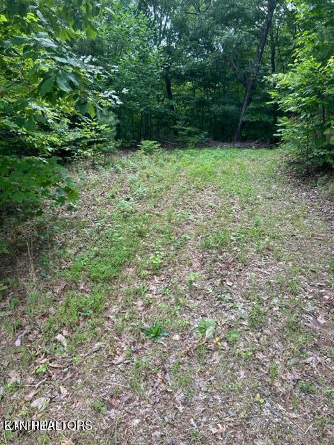 000 Smithfiled Road Tellico Plains TN 37385