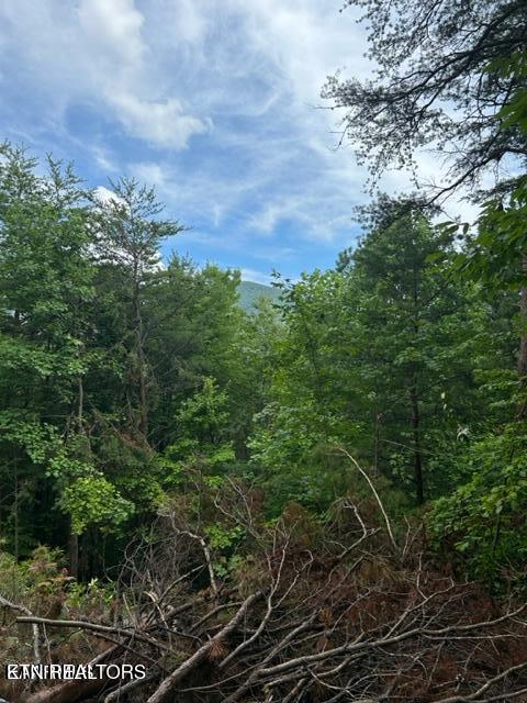000 Smithfiled Road Tellico Plains TN 37385