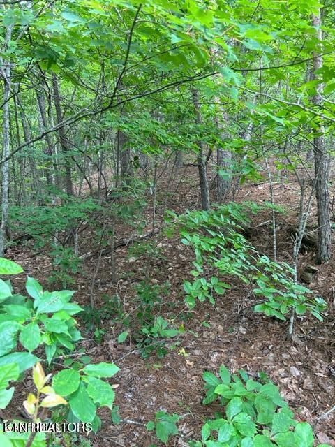 000 Smithfiled Road Tellico Plains TN 37385