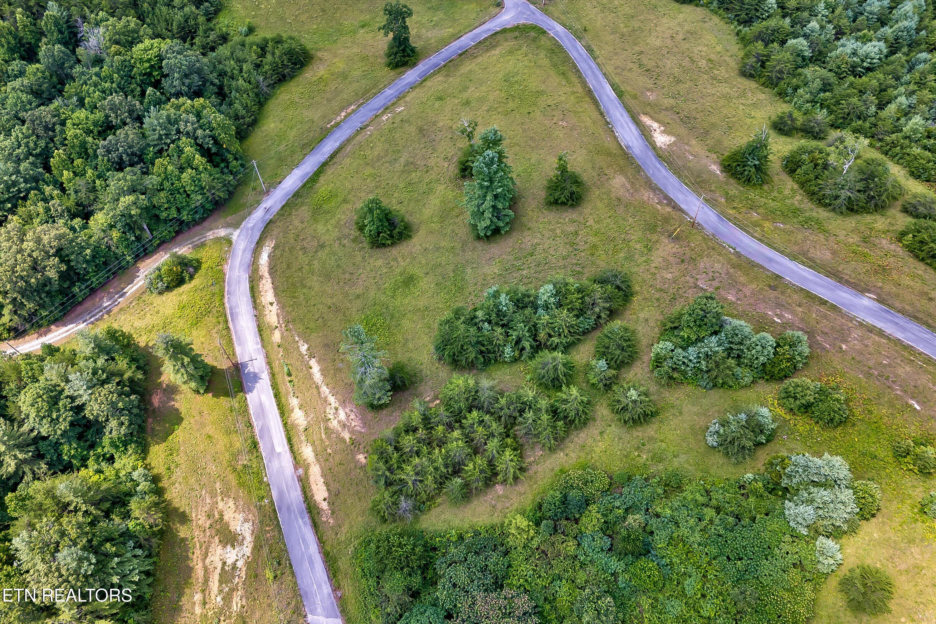 Highway 62 Deer Lodge TN 37726