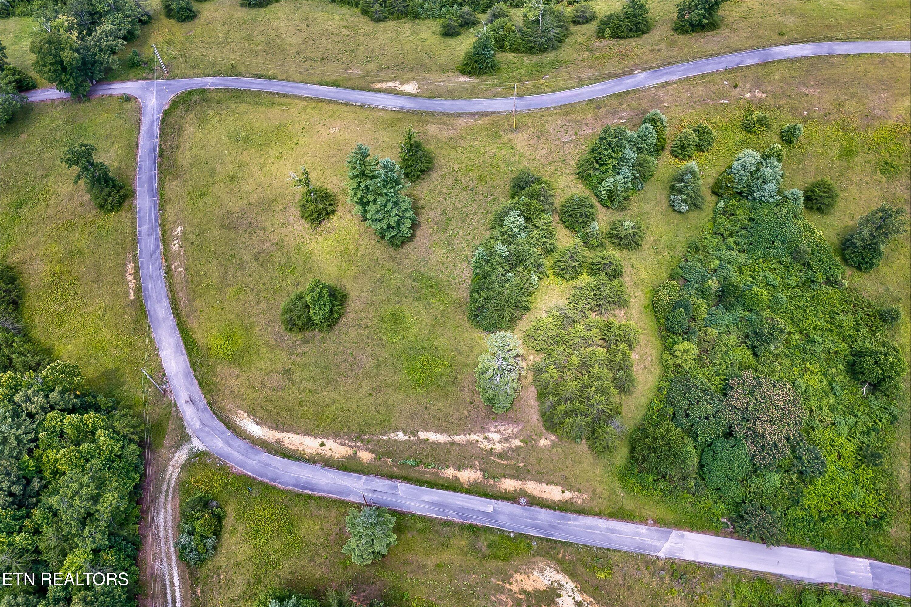 Highway 62 Deer Lodge TN 37726