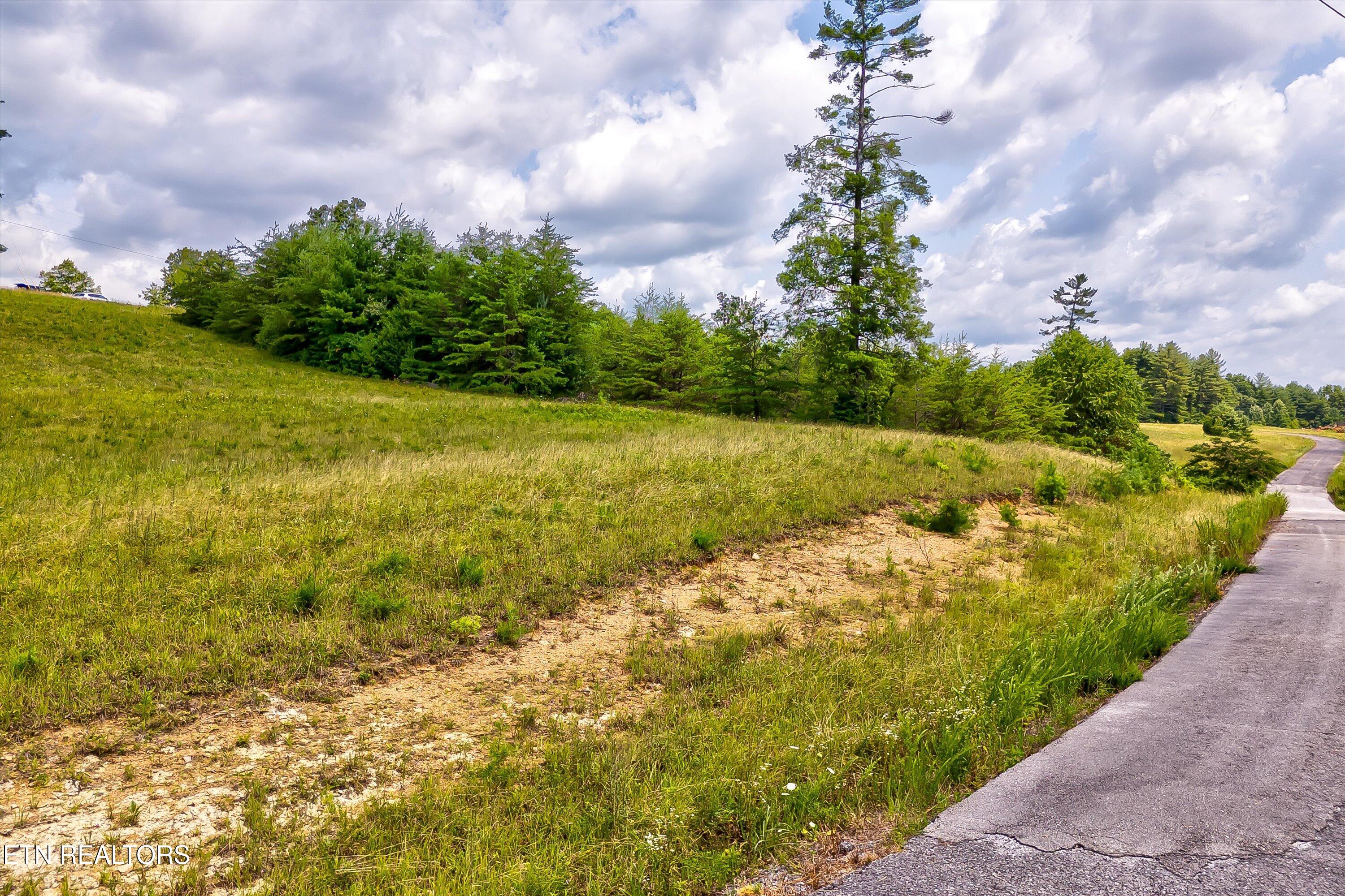 Highway 62 Deer Lodge TN 37726