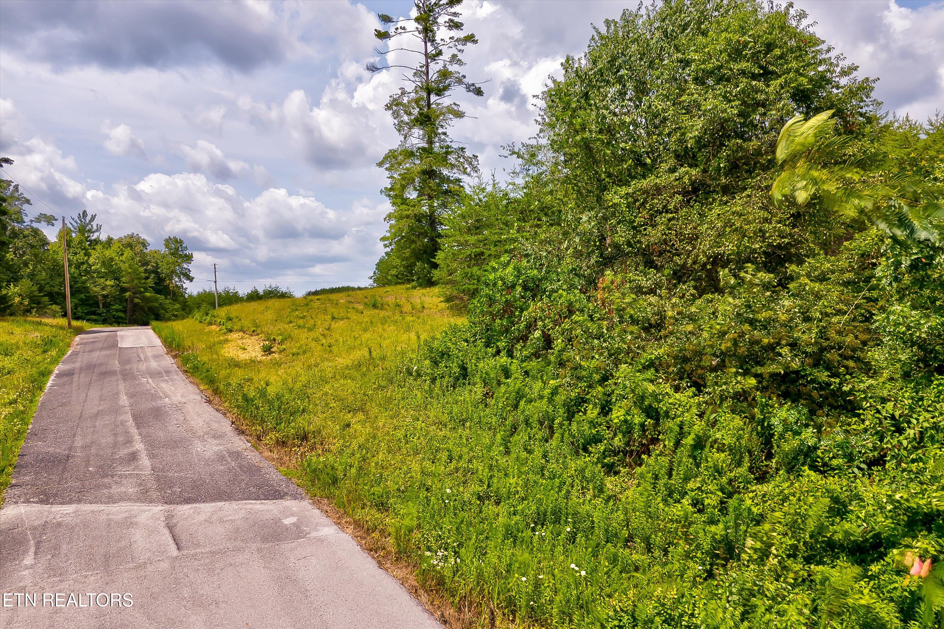 Highway 62 Deer Lodge TN 37726