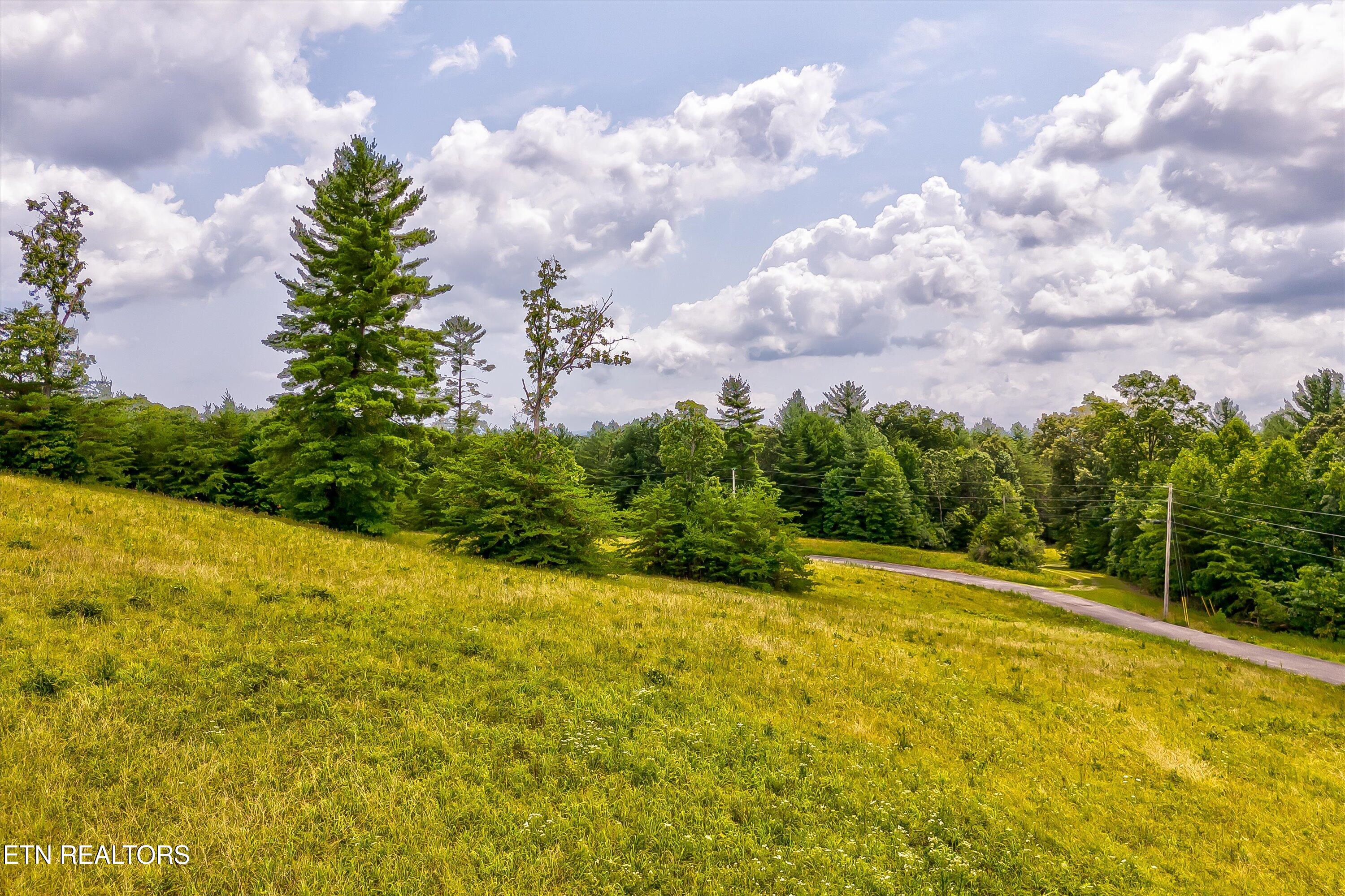 Highway 62 Deer Lodge TN 37726