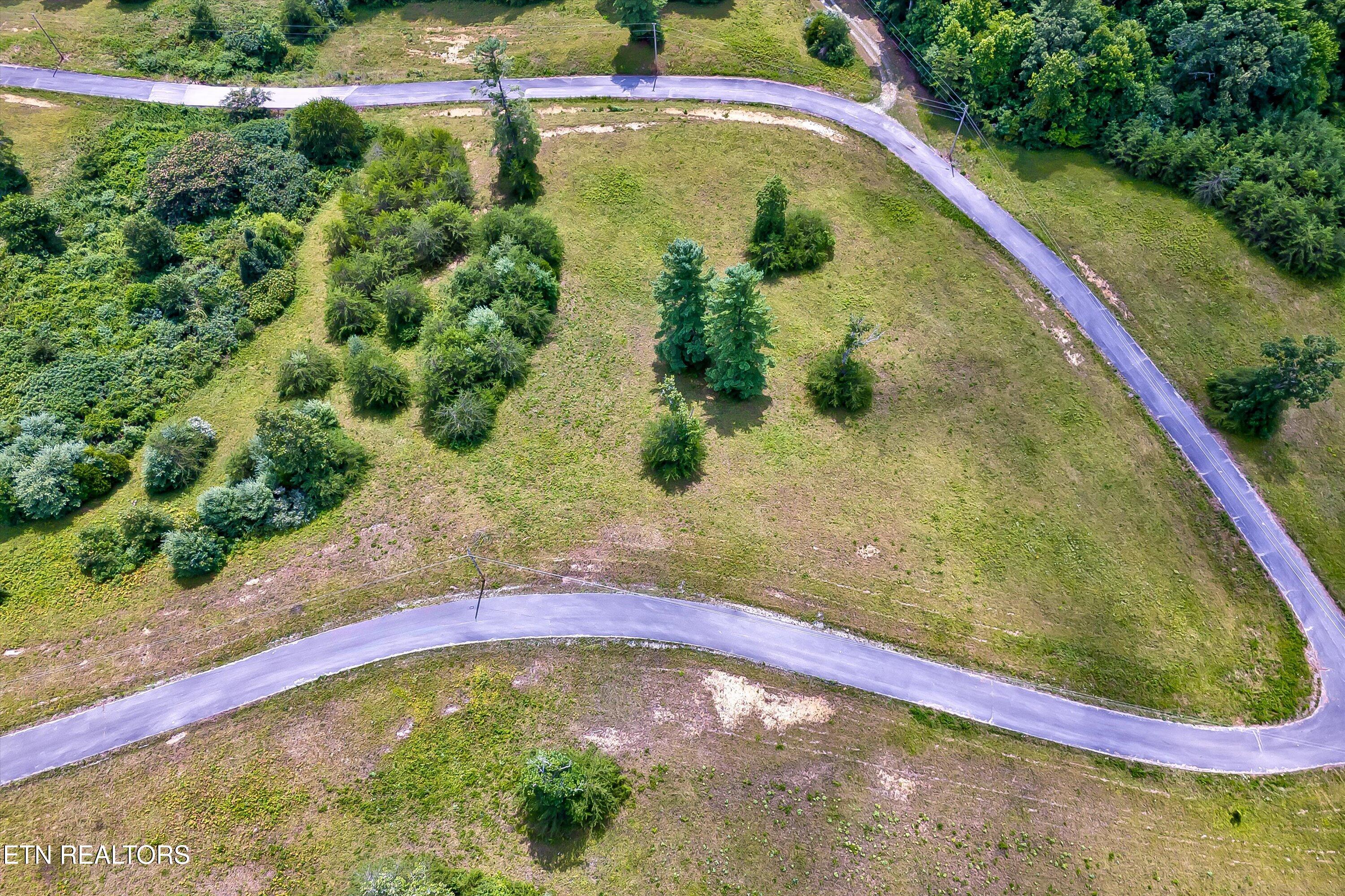 Highway 62 Deer Lodge TN 37726
