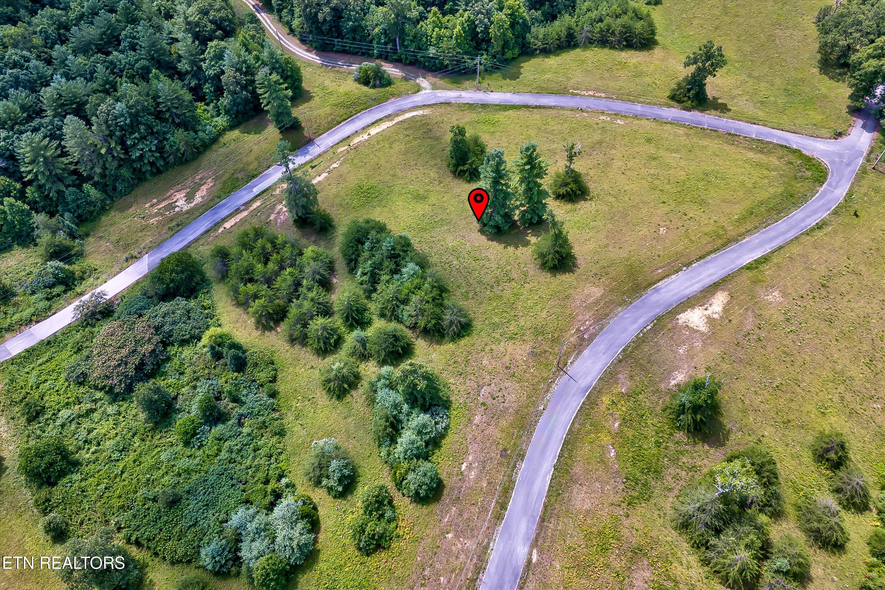 Highway 62 Deer Lodge TN 37726