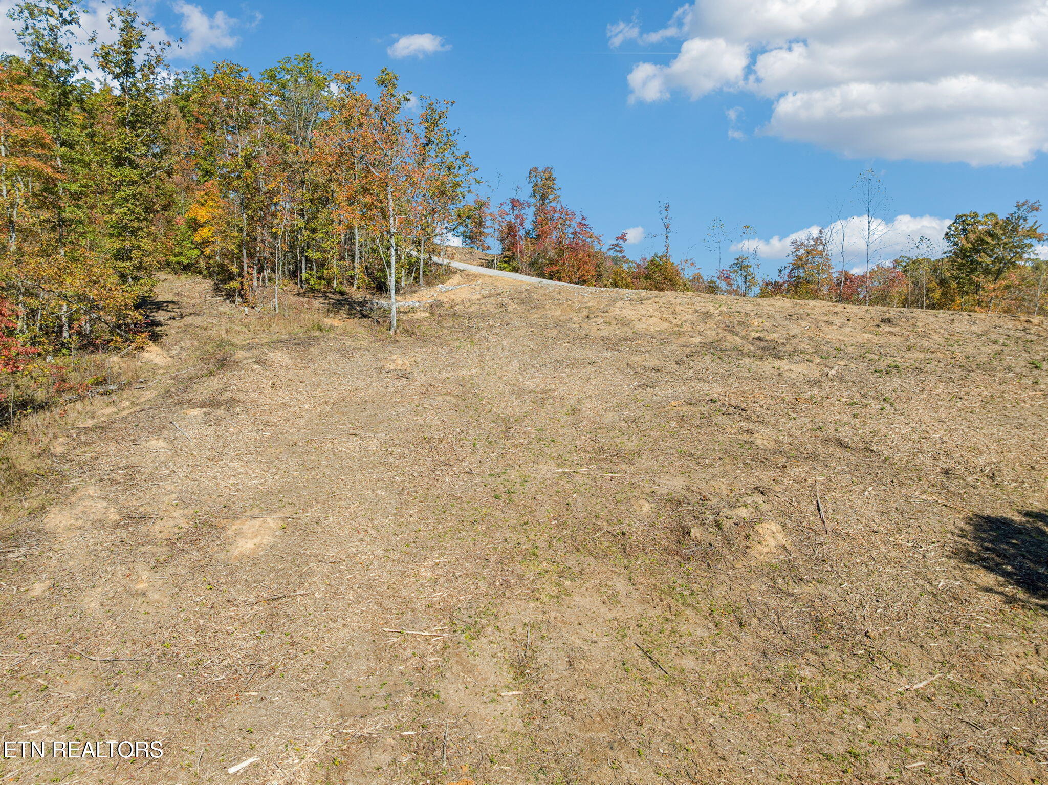 Sheep Ranch Road Robbins TN 37852