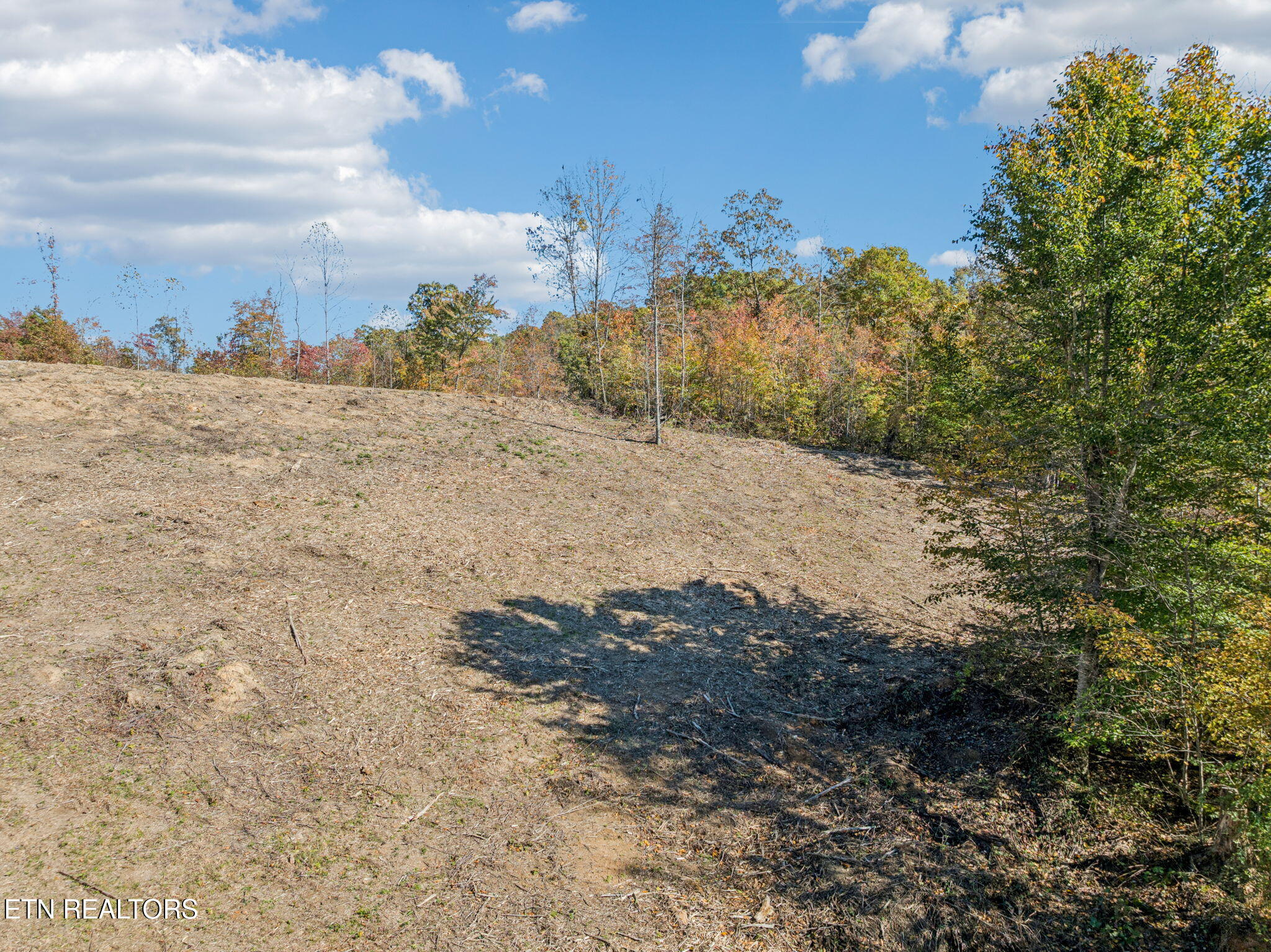 Sheep Ranch Road Robbins TN 37852