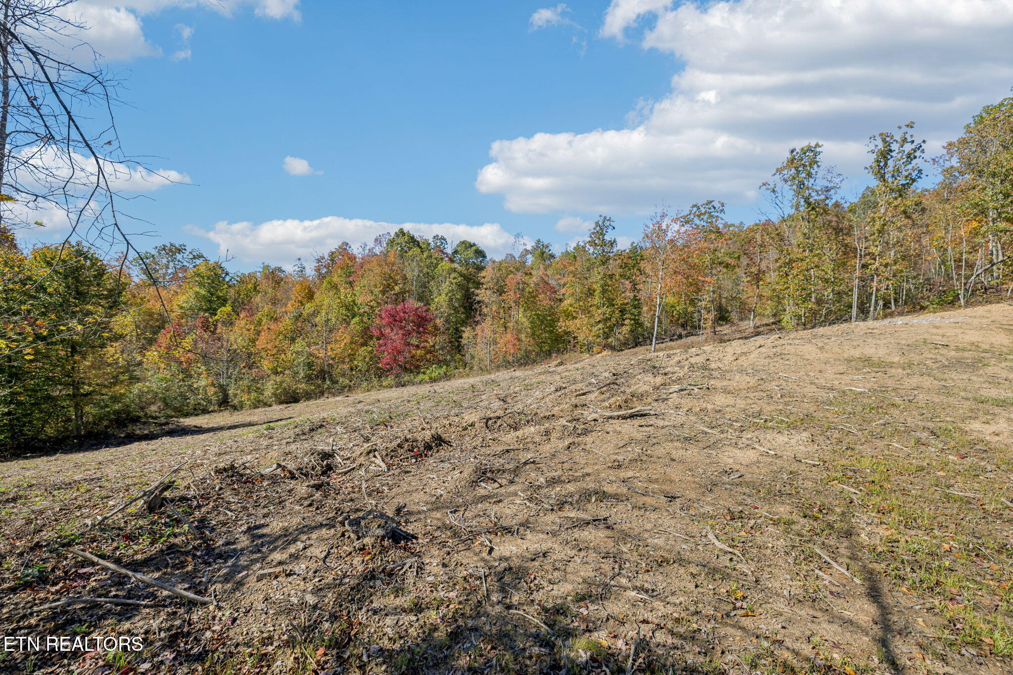 Sheep Ranch Road Robbins TN 37852
