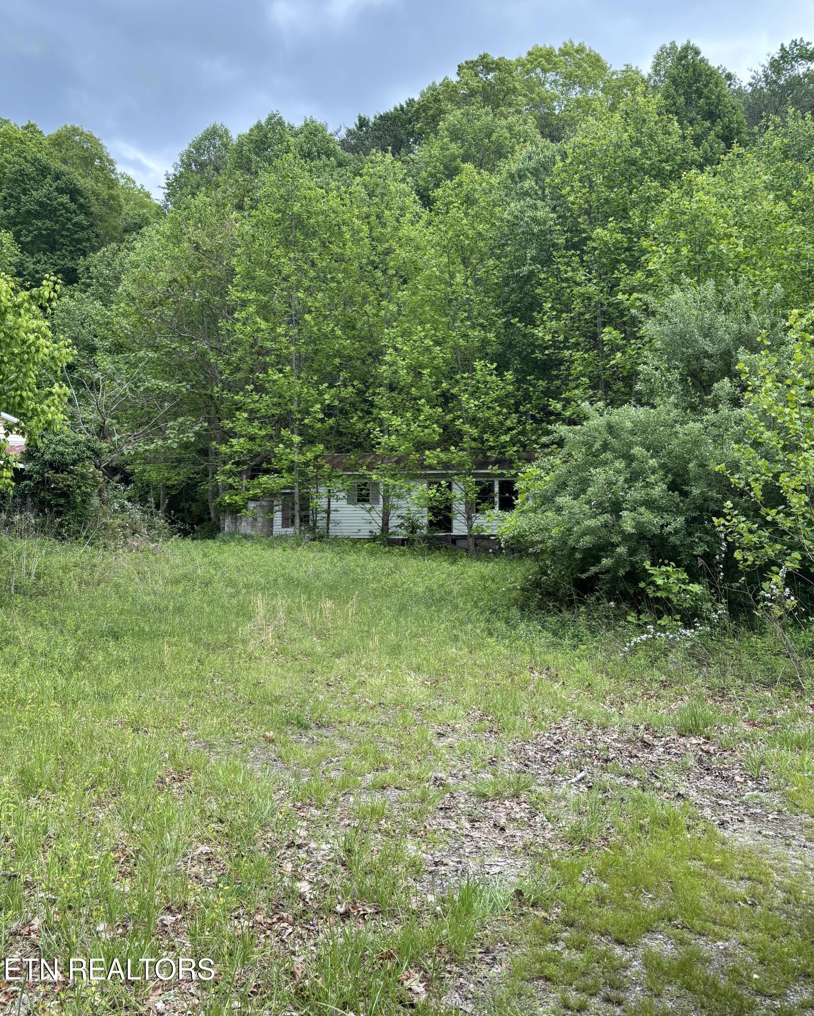 307 Huckleberry Lane Duff TN 37729