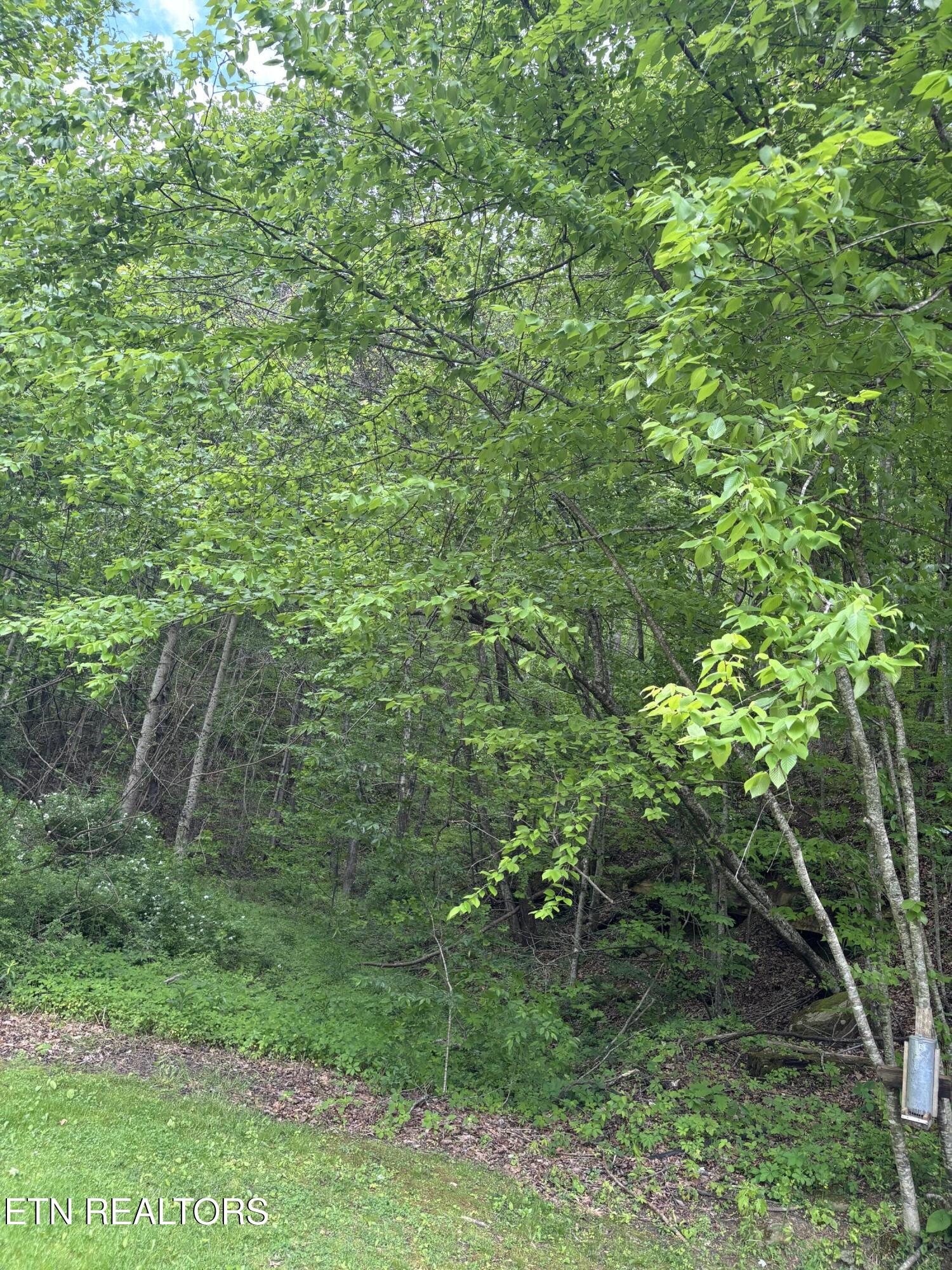 307 Huckleberry Lane Duff TN 37729