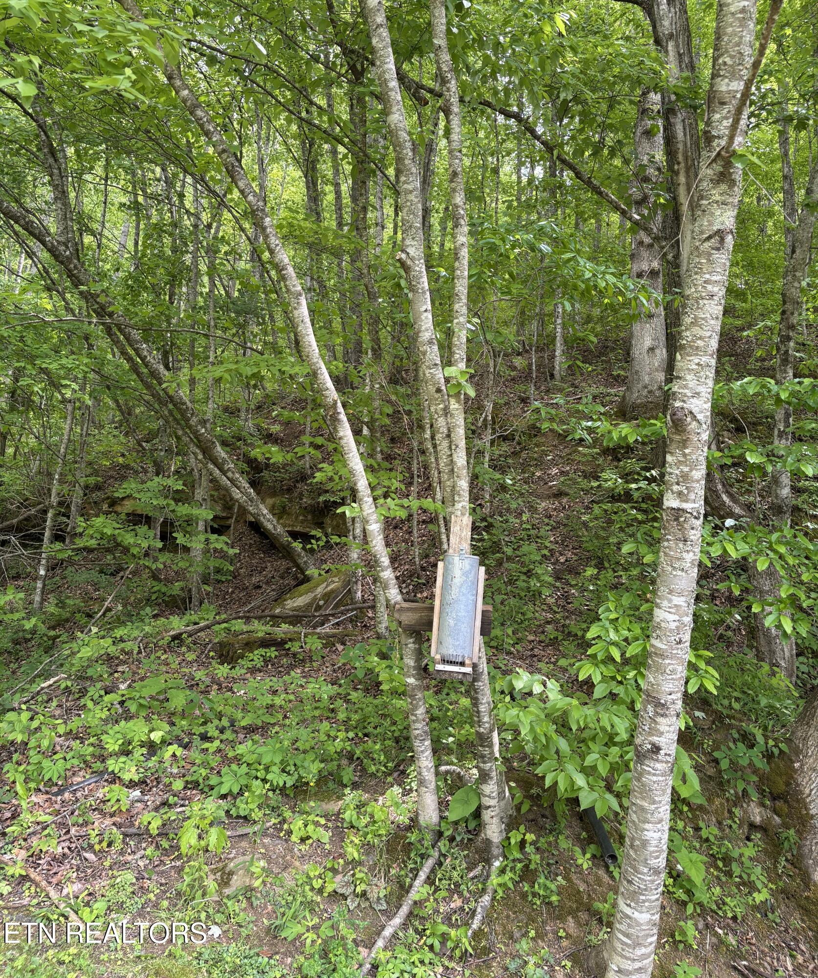 307 Huckleberry Lane Duff TN 37729