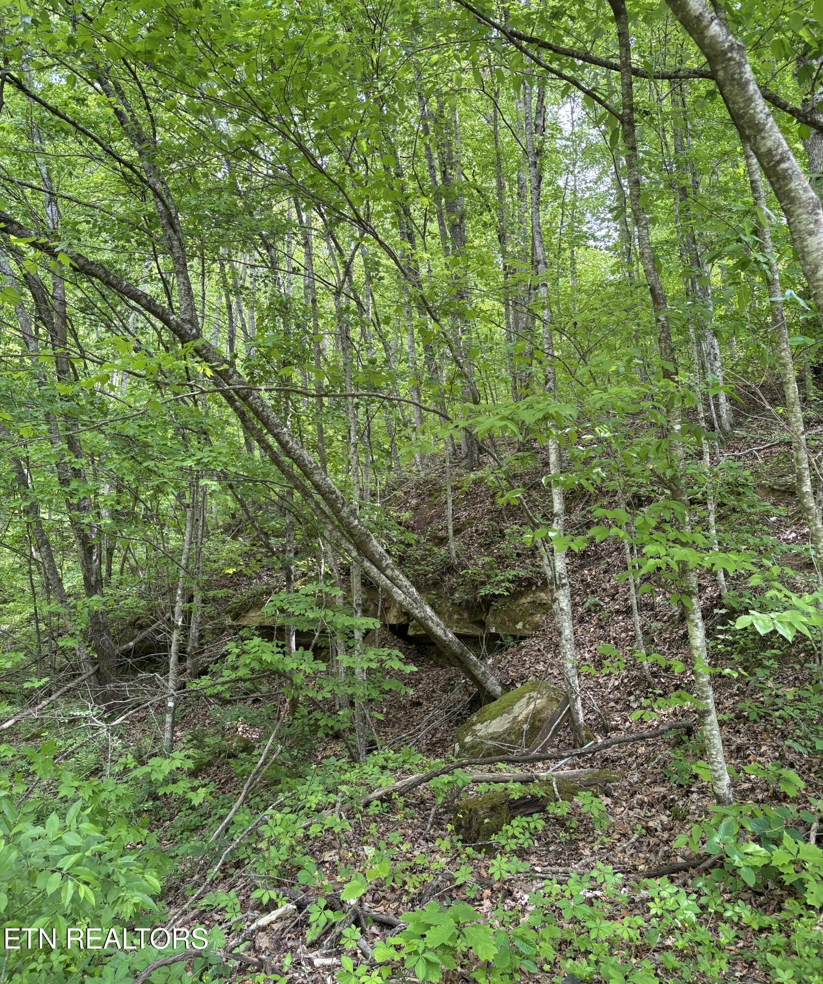 307 Huckleberry Lane Duff TN 37729