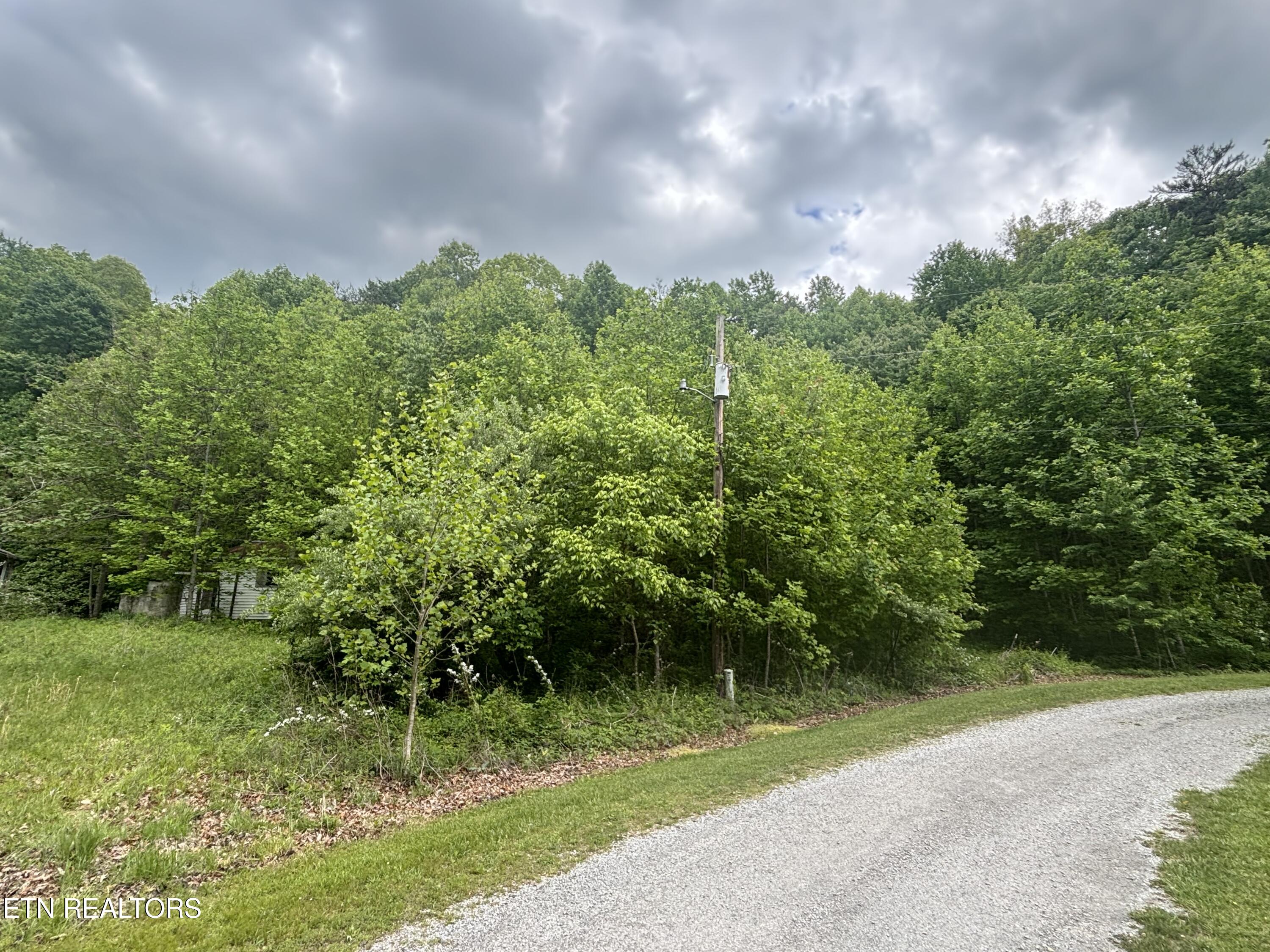 307 Huckleberry Lane Duff TN 37729