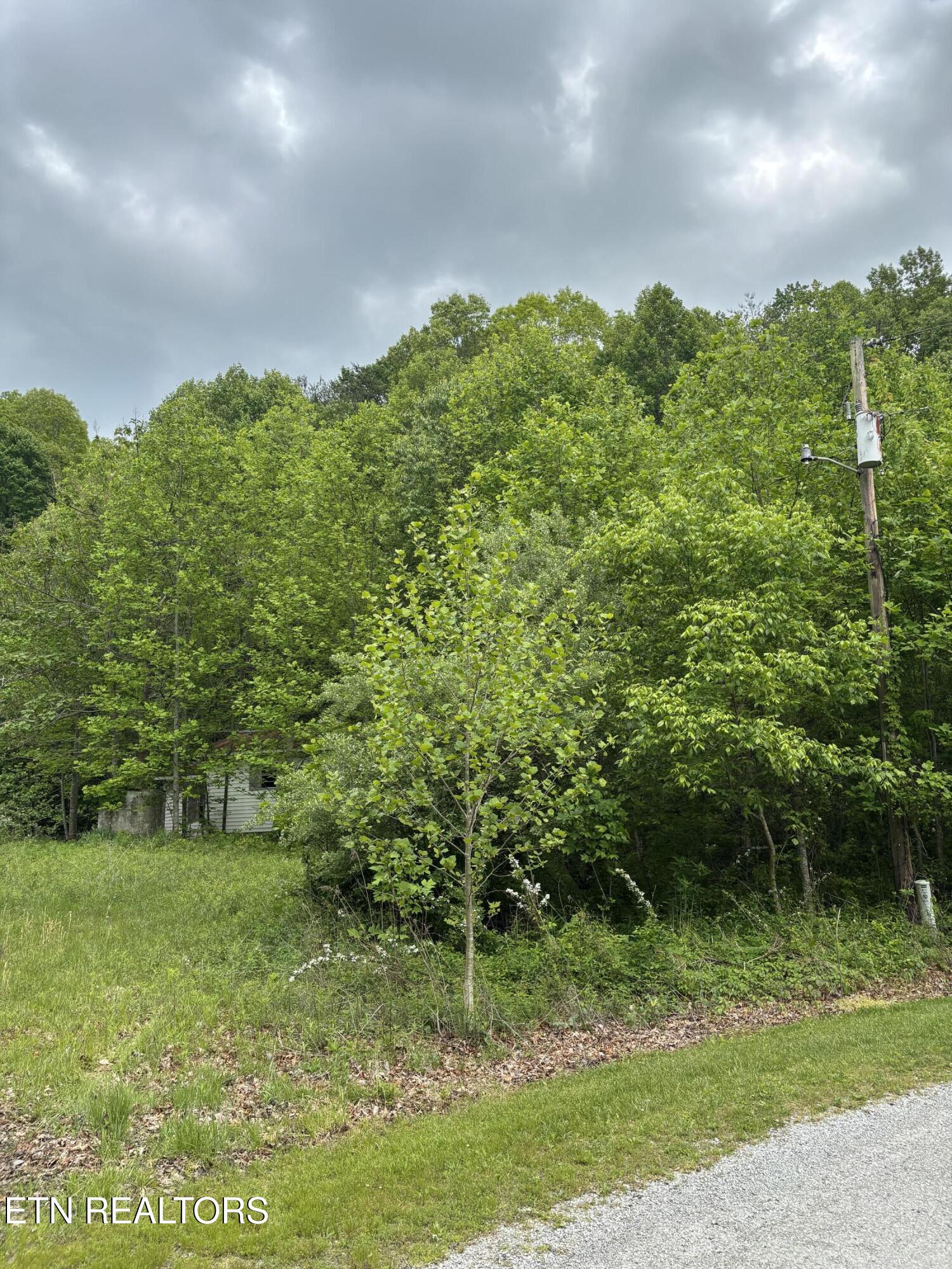 307 Huckleberry Lane Duff TN 37729