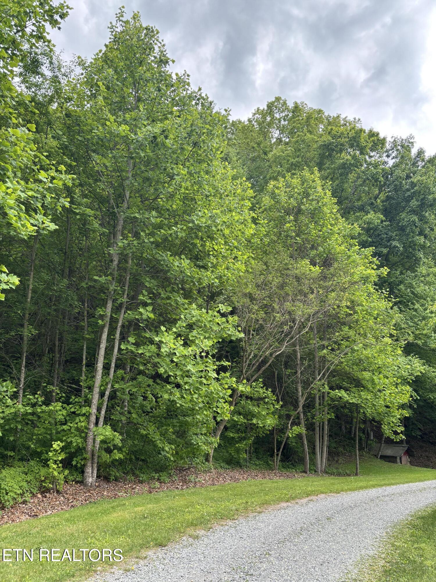 307 Huckleberry Lane Duff TN 37729