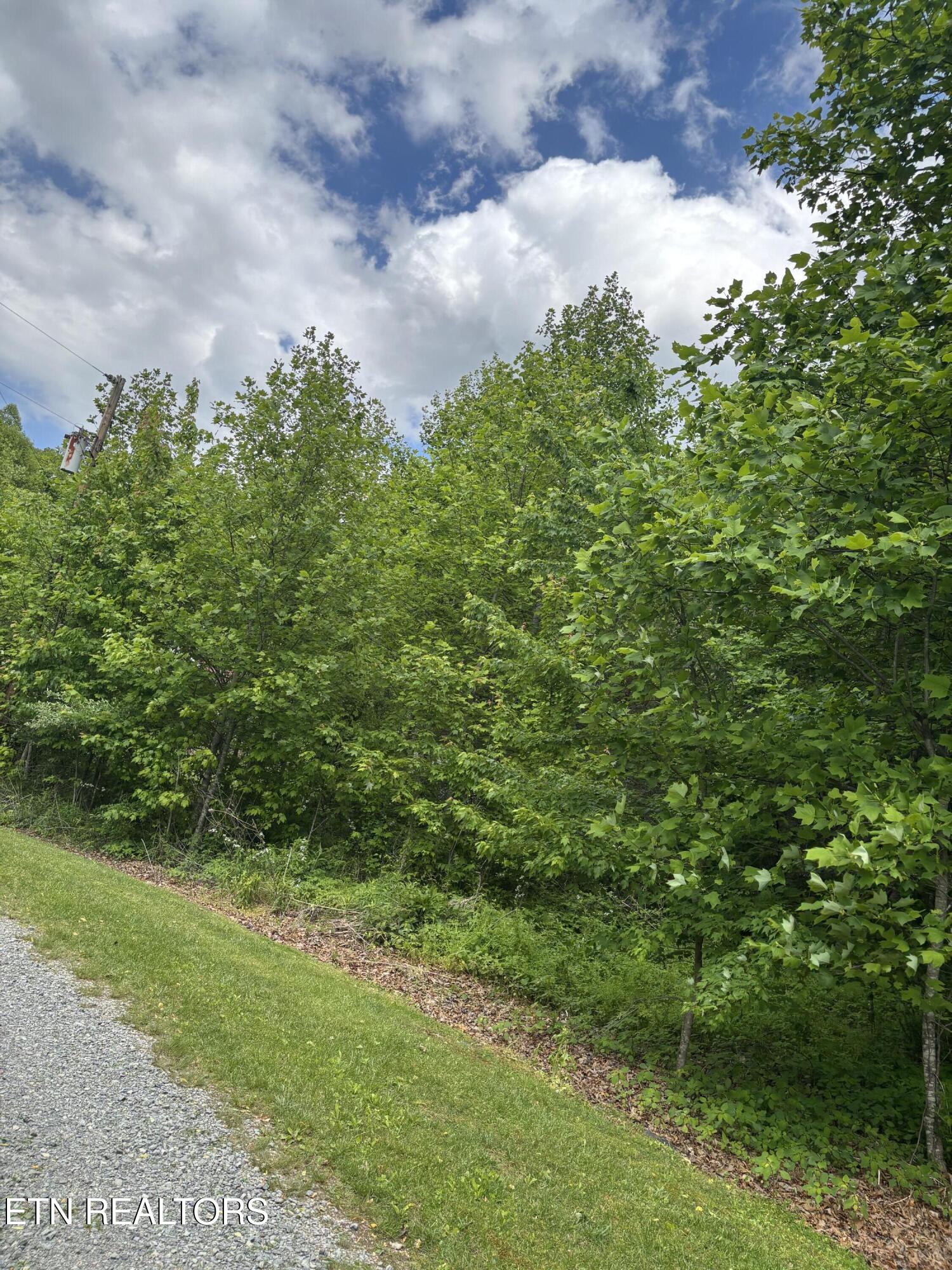307 Huckleberry Lane Duff TN 37729