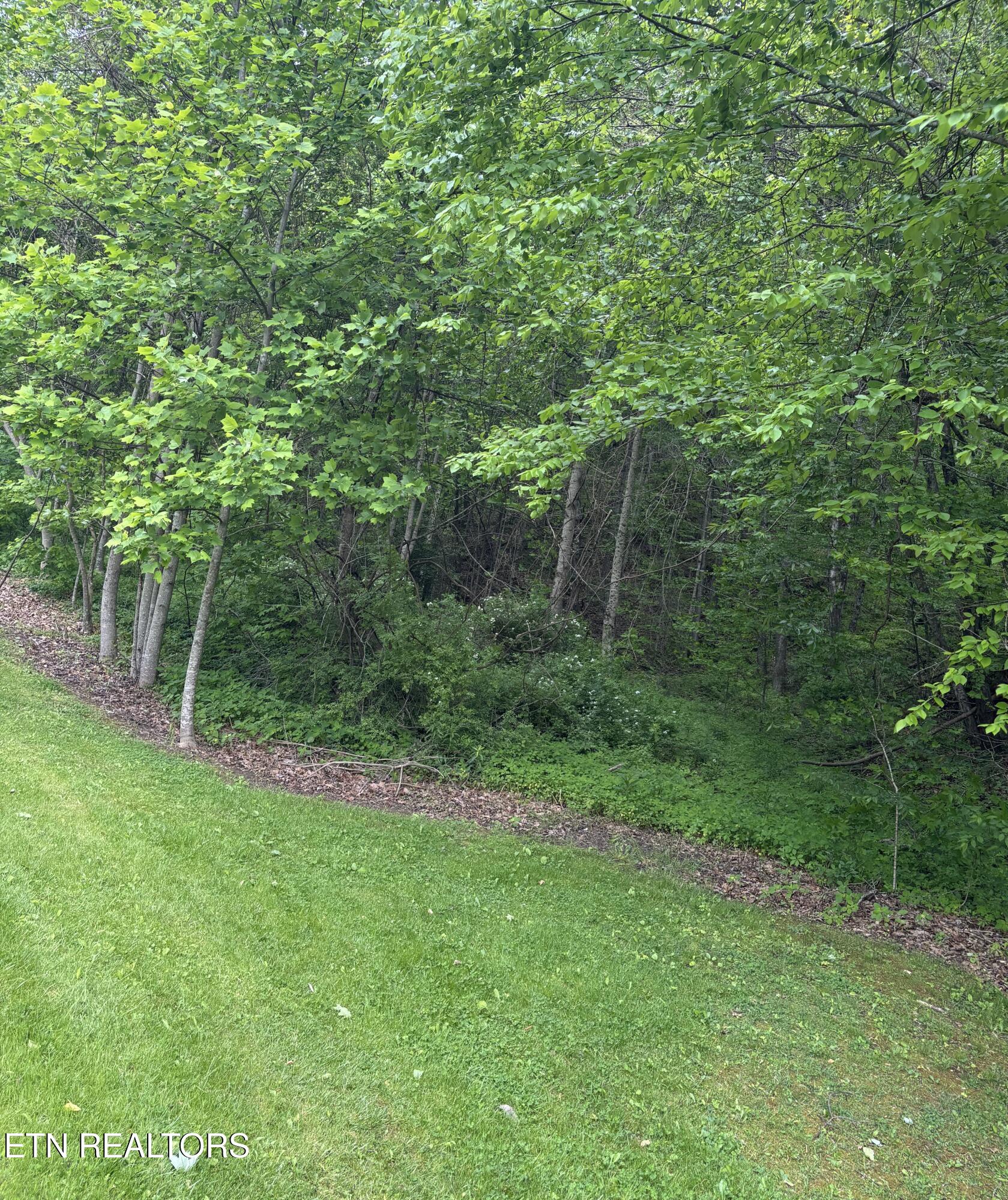 307 Huckleberry Lane Duff TN 37729
