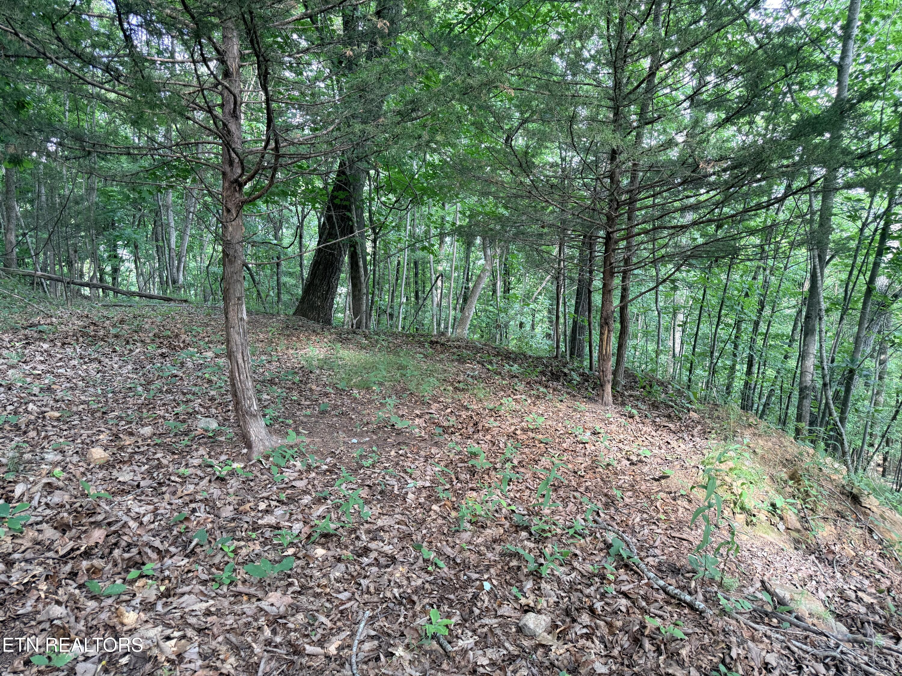 Lot 188 Chimney Rock Road New Tazewell TN 37825